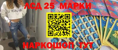 шишки Аргун