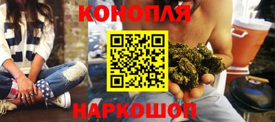 шишки Аргун