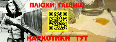 шишки Аргун