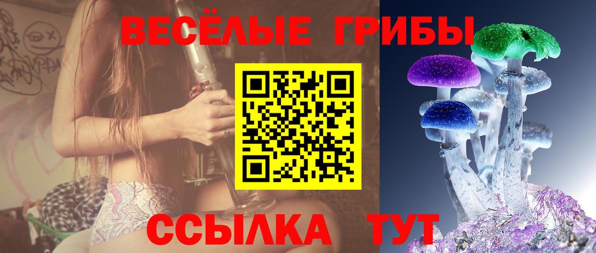 Псилоцибиновые грибы MAGIC MUSHROOMS Большой Камень
